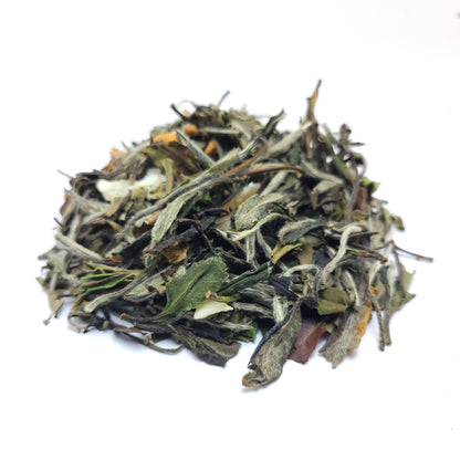 Oasis White Tea Blend Close Up