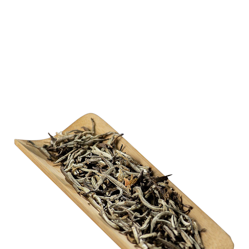 Jasmine Silver Needle White Tea