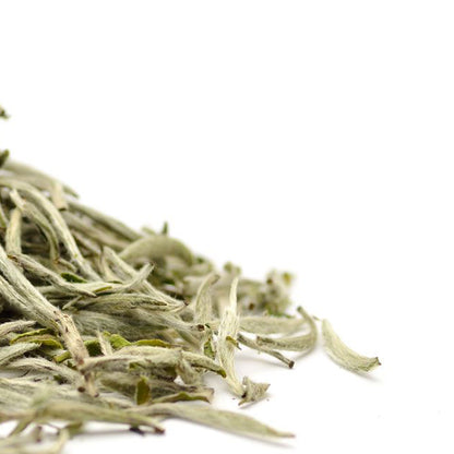 Imperial Silver Needle White Tea Close Up