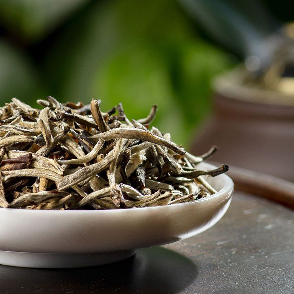 Jasmine Silver Needle White Tea Pile