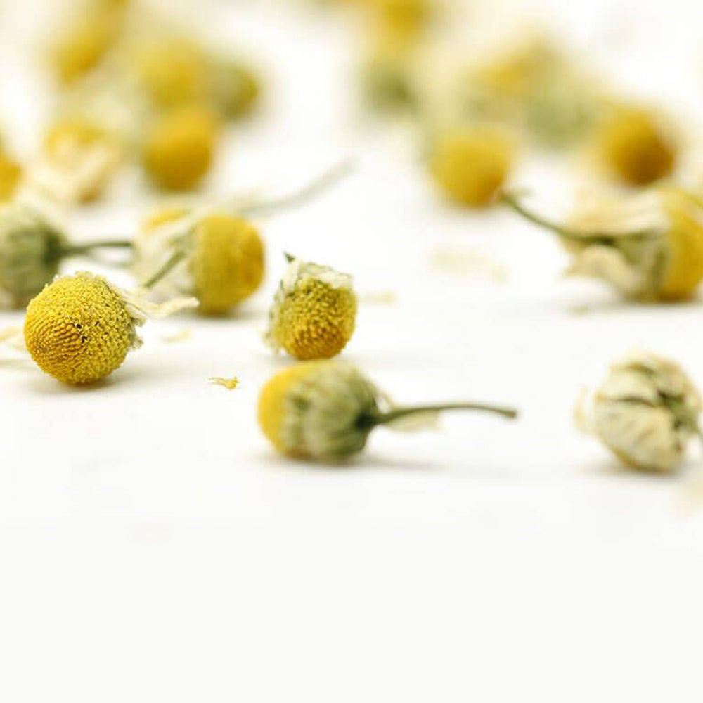 Blossom Chamomile Tea Close up